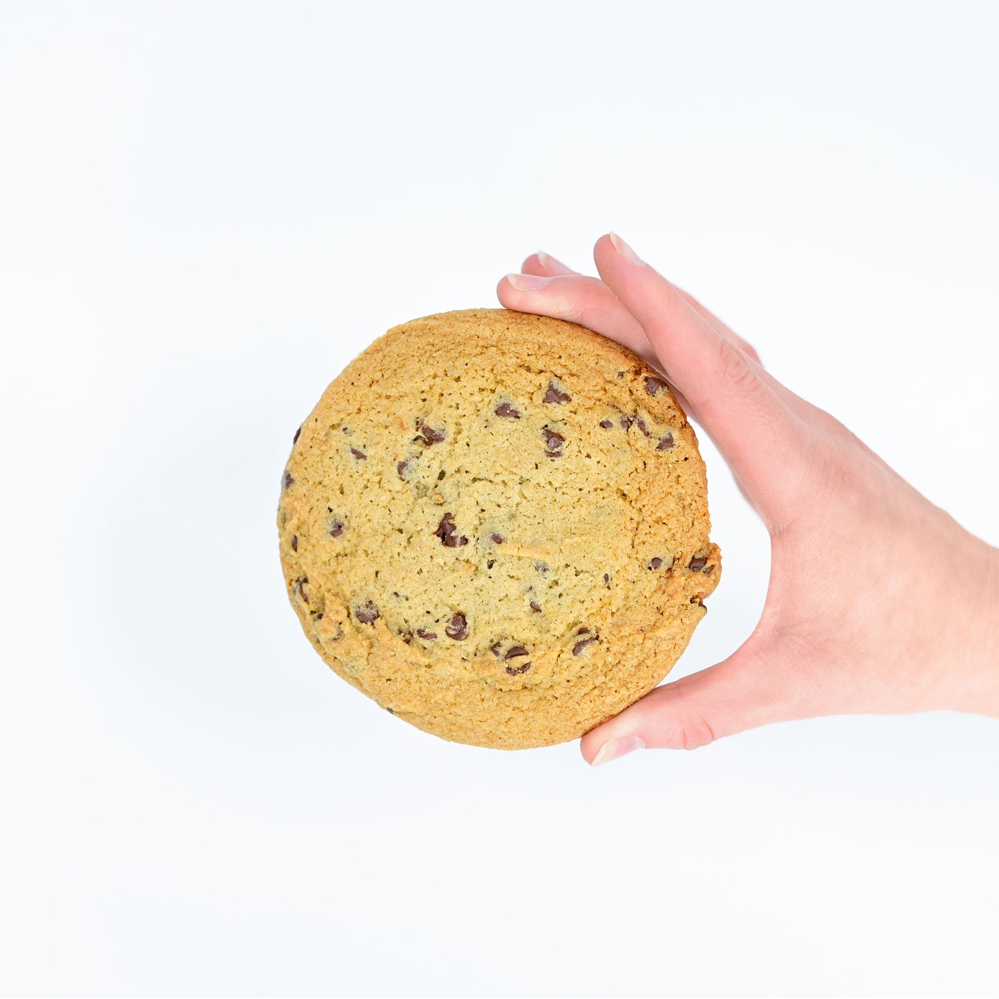 Nut Free Chocolate Chip