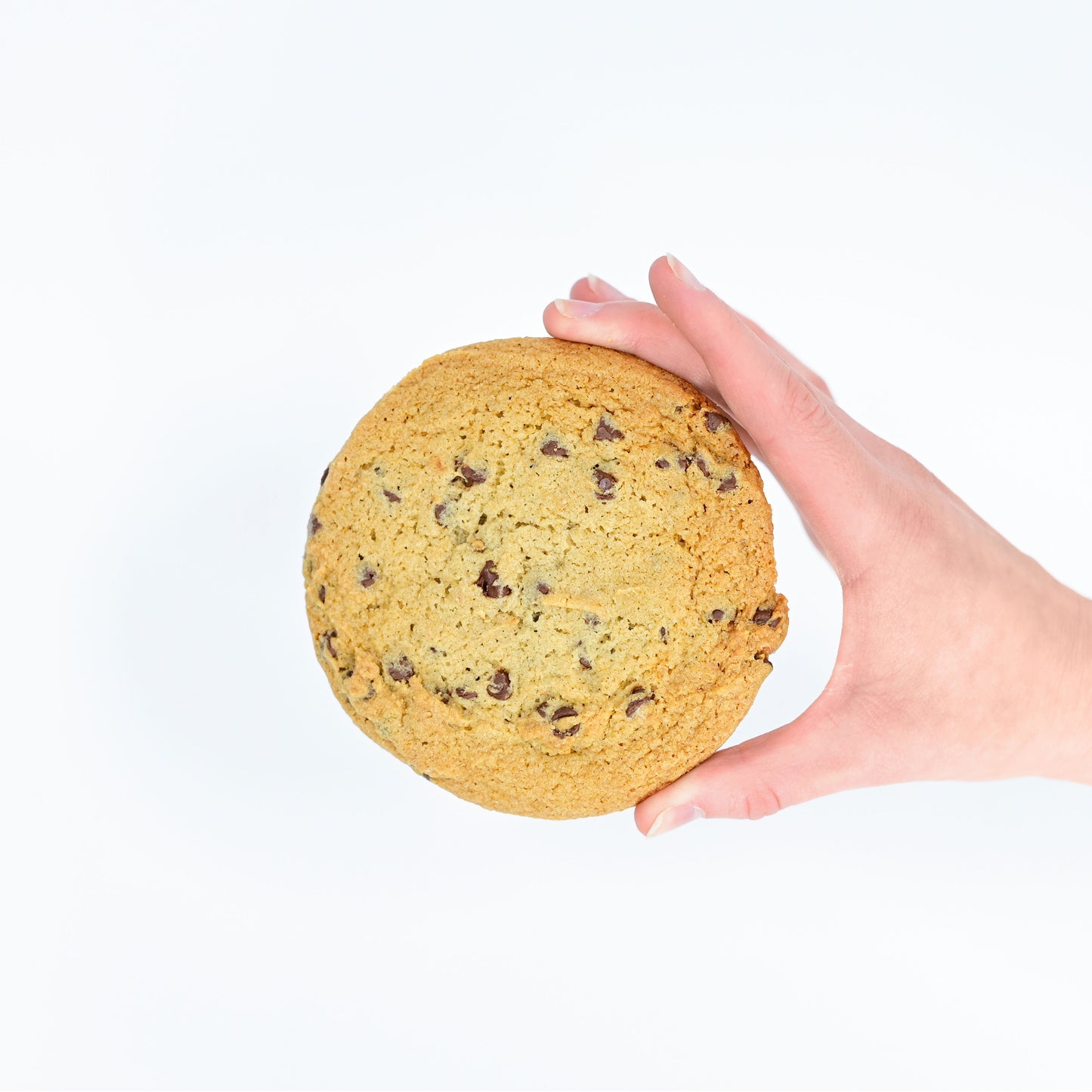 One Dozen Gluten-Free Chocolate Chip