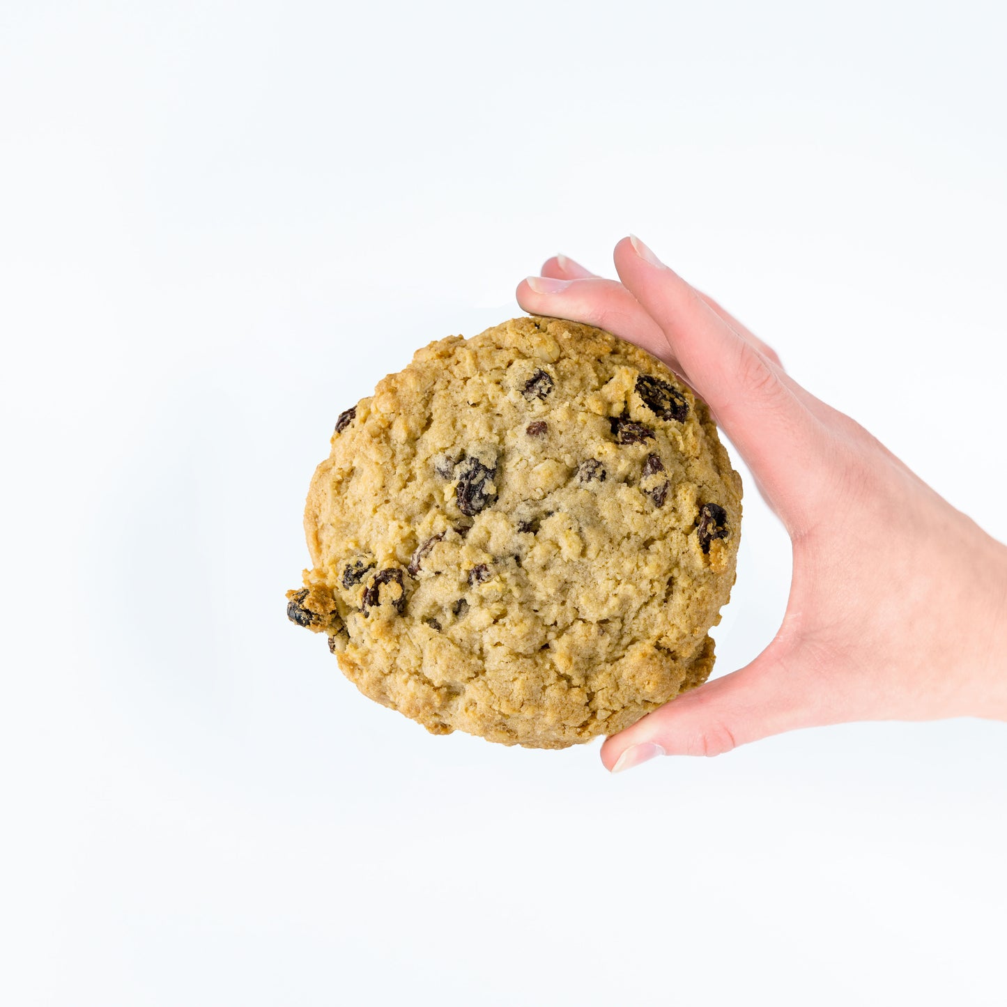 One Dozen Nut Free Oatmeal Raisin