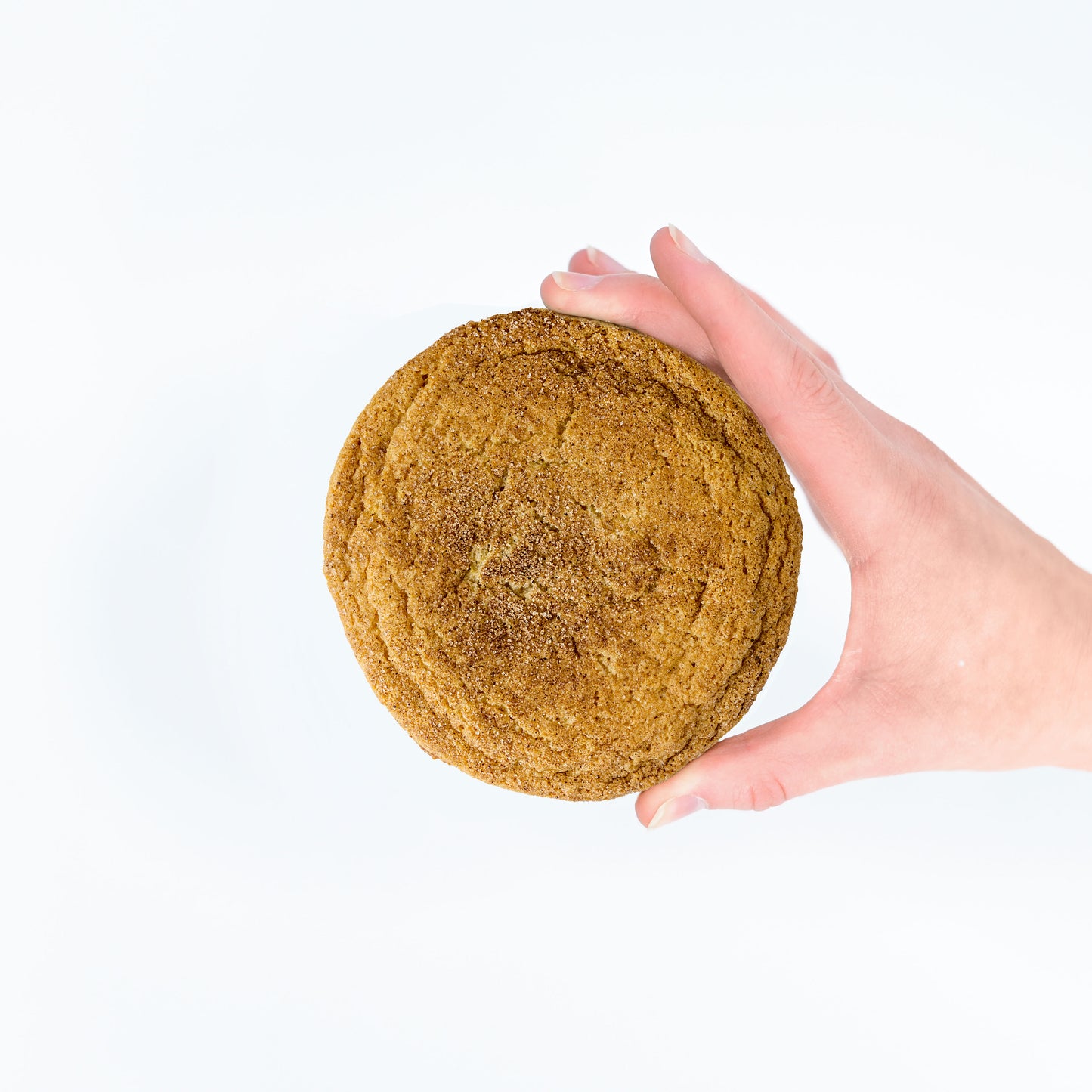 Nut Free Snickerdoodle