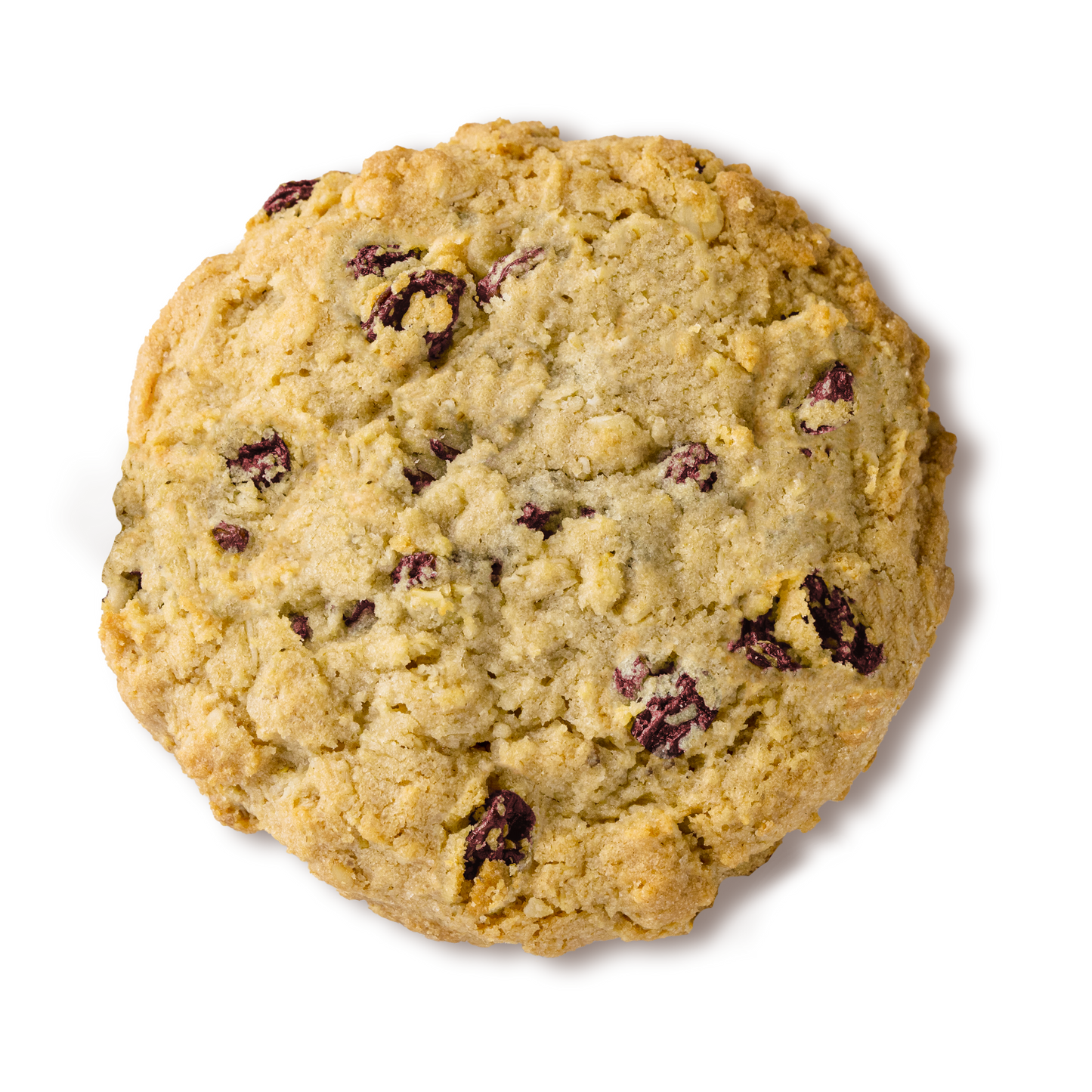 One Dozen Nut Free Oatmeal White Chocolate Cranberry