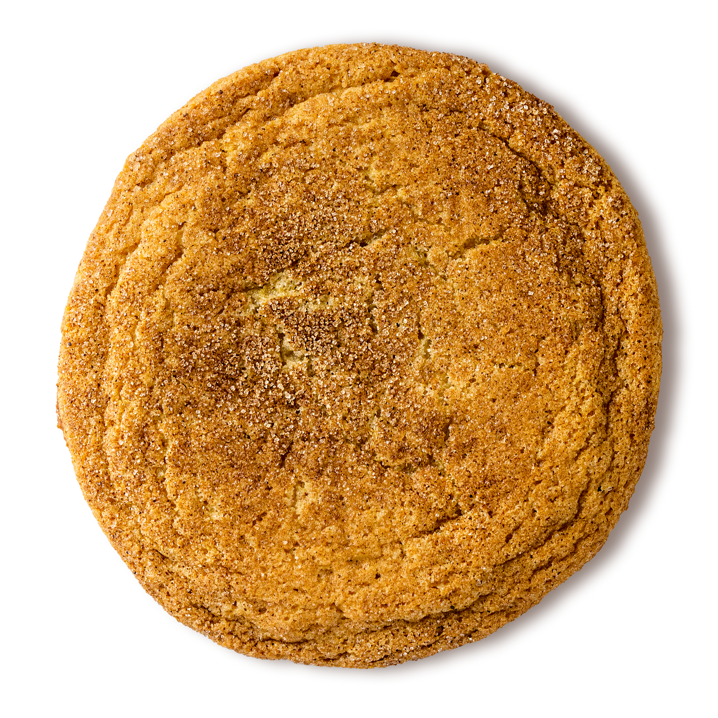 One Dozen Gluten-Free Snickerdoodle